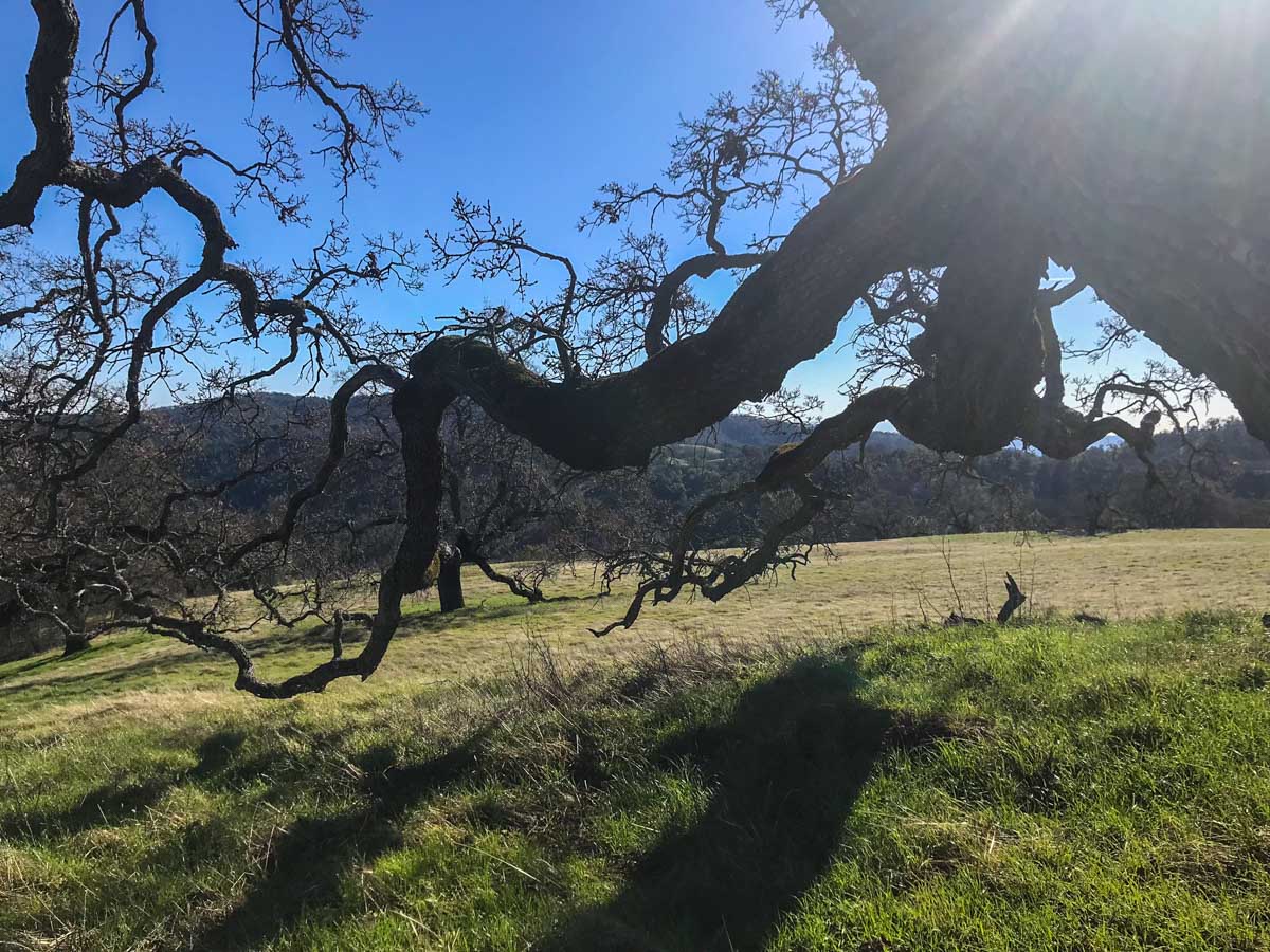 On the way back from Mount Sizer