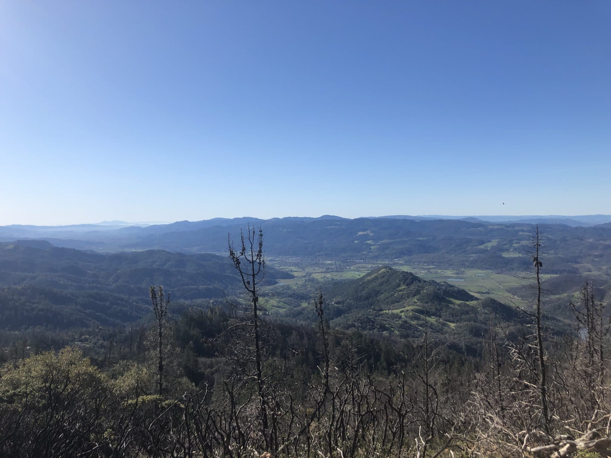 Mount St Helena
