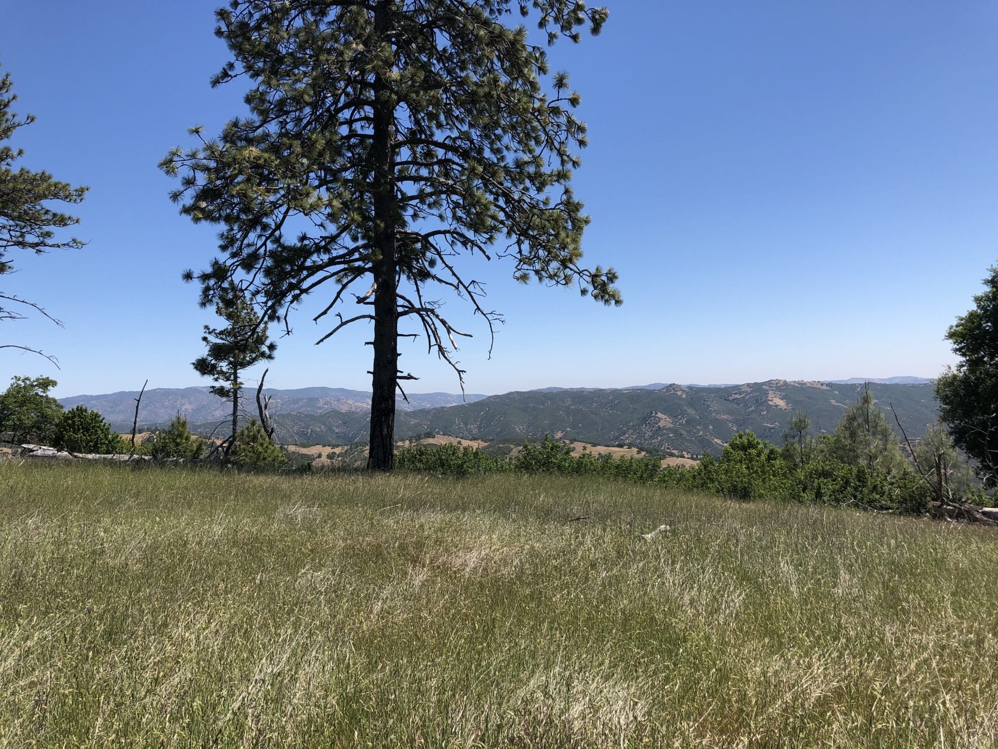 Mt Sizer – May