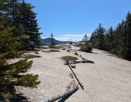 Welch-Dickey Loop - New England Six-Pack of Peaks