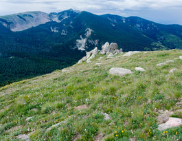 Santa Fe Baldy - New Mexico Six-Pack of Peaks Challenge